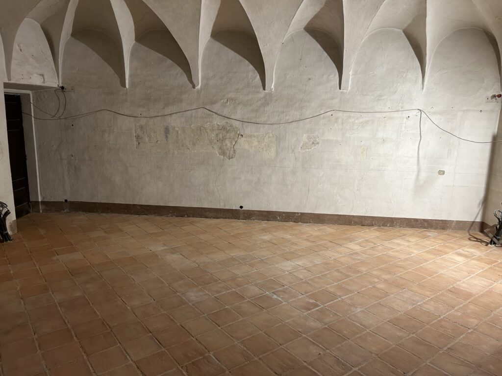 IMG_1221 - dimensioni grandi