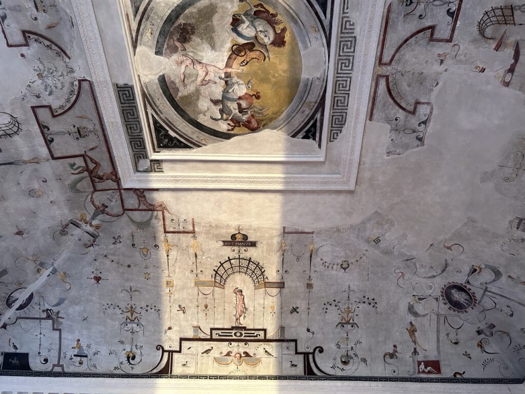 IMG_1248 - dimensioni grandi