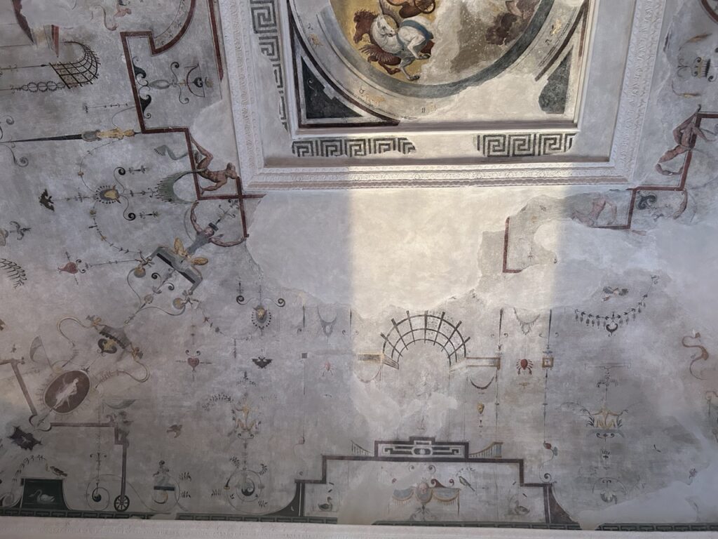 IMG_1250 - dimensioni grandi
