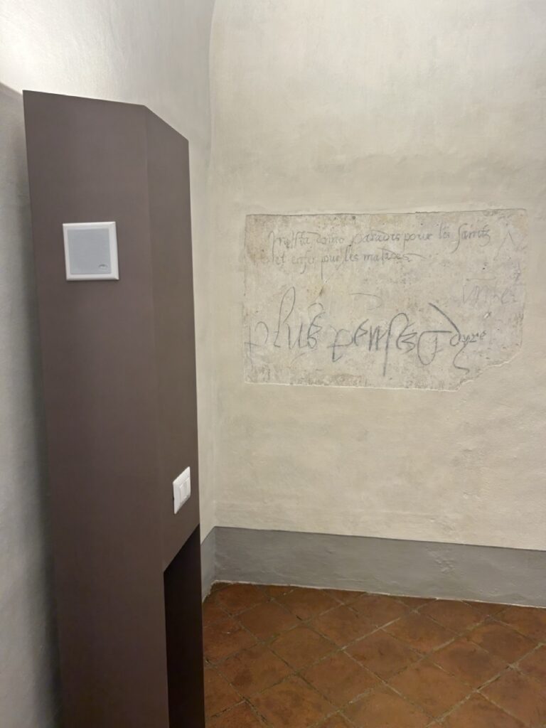 IMG_2314 - dimensioni grandi